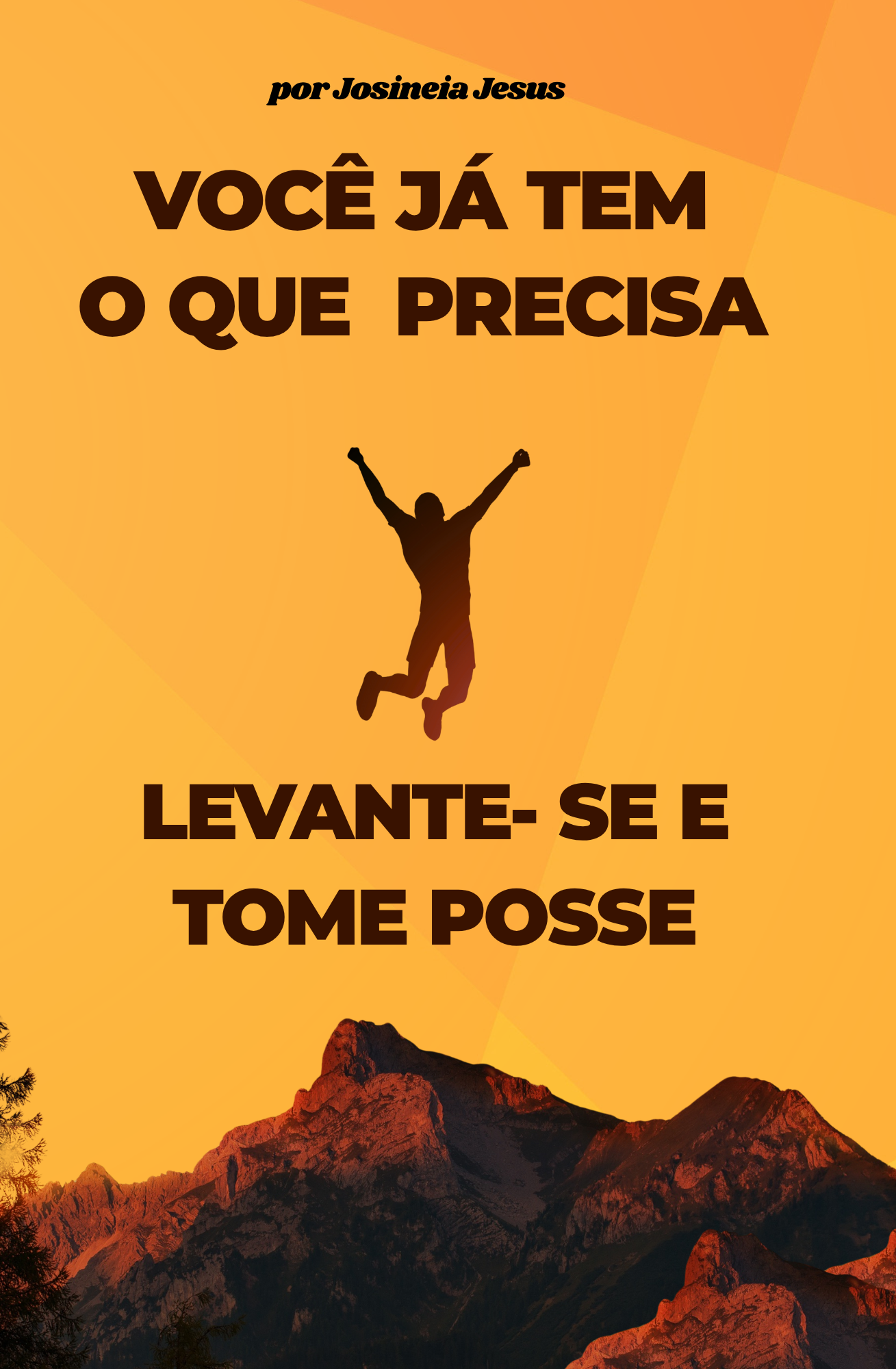 Capa do livro Levante e Tome Posse, de Josineia Jesus